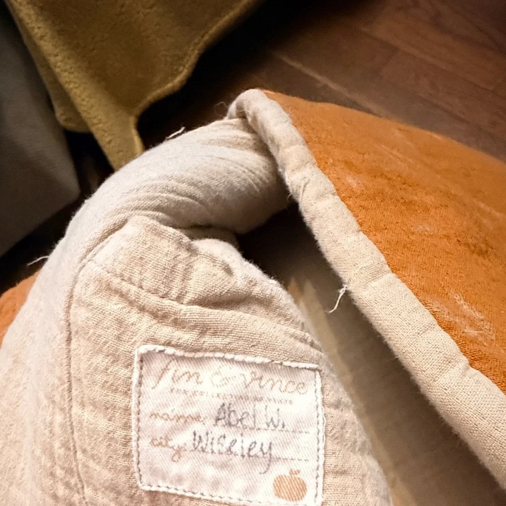 Fin & Vince Harvest Wheat Organic Cotton Hoody Reversible Coat as is
